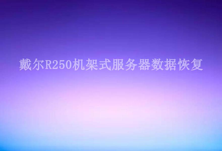 戴尔R250机架式服务器数据恢复2