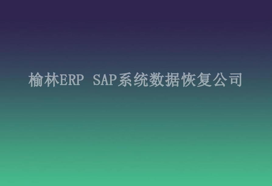 榆林ERP SAP系统数据恢复公司2