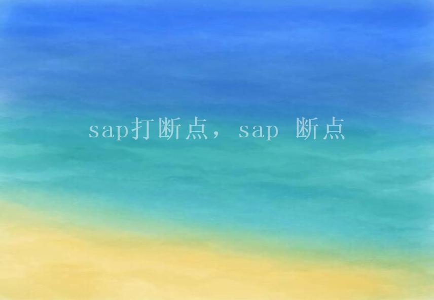 sap打断点，sap 断点2