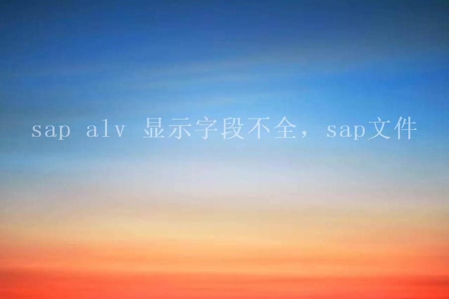 sap alv 显示字段不全，sap文件2