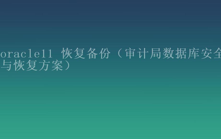 oracle11 恢复备份（审计局数据库安全与恢复方案）2