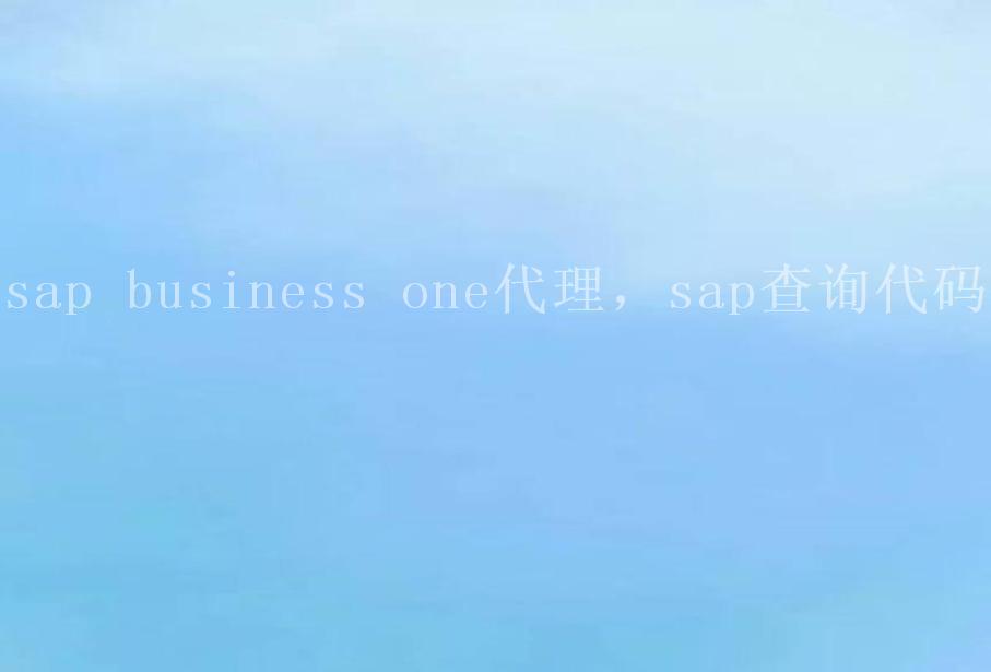 sap business one代理，sap查询代码1