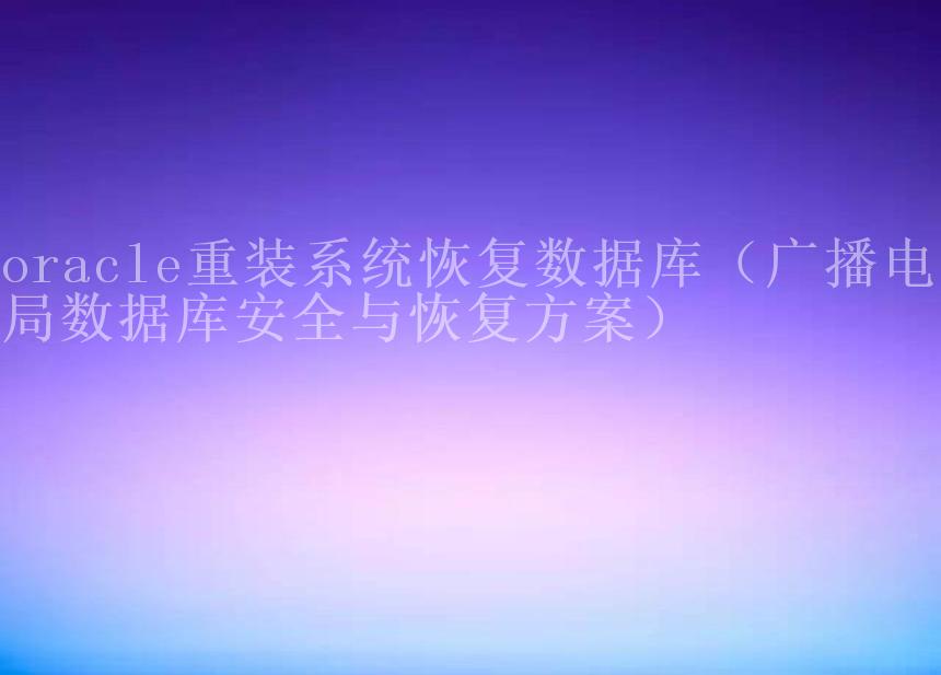 oracle重装系统恢复数据库（广播电视局数据库安全与恢复方案）2