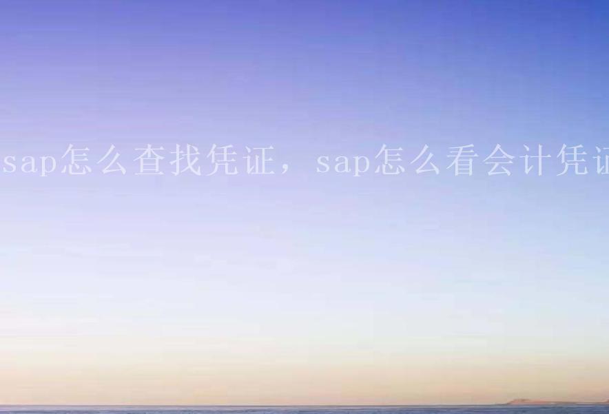 sap怎么查找凭证，sap怎么看会计凭证1