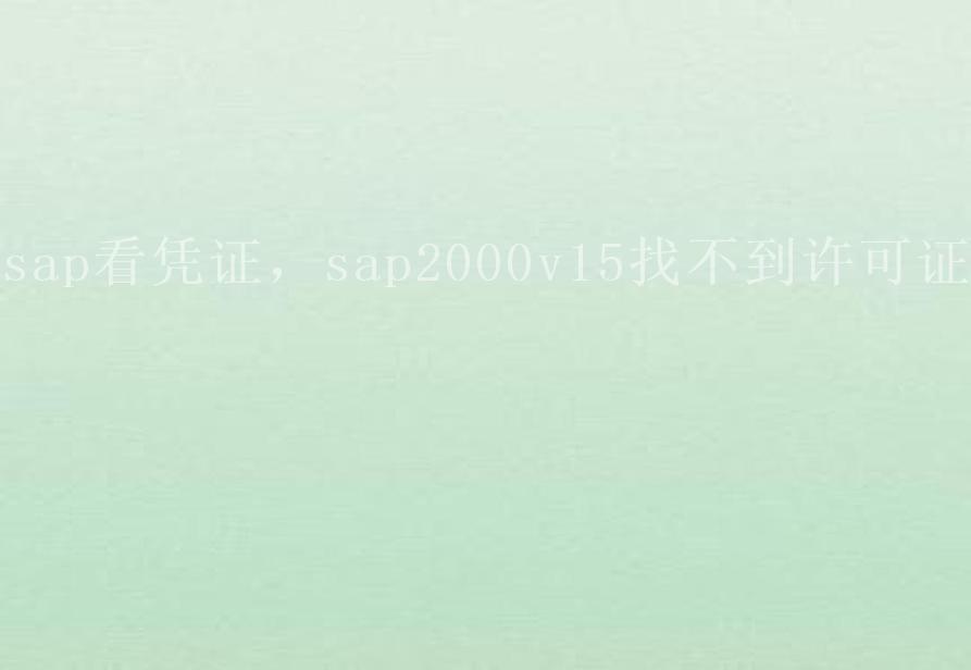 sap看凭证，sap2000v15找不到许可证2