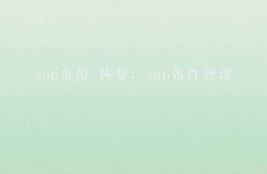 sap备份 恢复，sap备件管理2