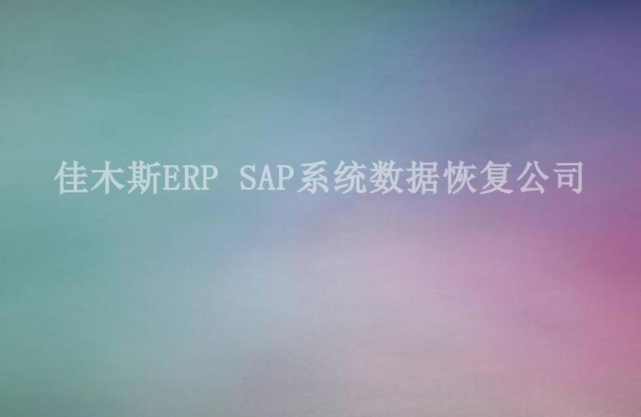 佳木斯ERP SAP系统数据恢复公司2