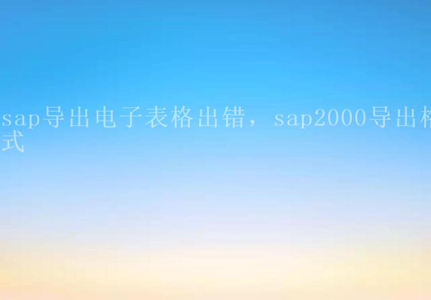 sap导出电子表格出错，sap2000导出格式2