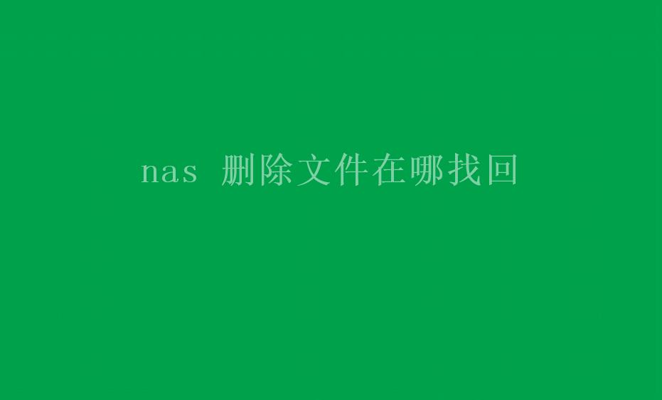 nas 删除文件在哪找回1