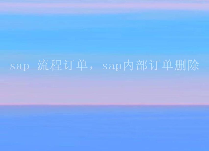 sap 流程订单，sap内部订单删除1