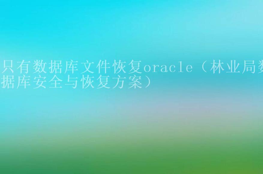 只有数据库文件恢复oracle（林业局数据库安全与恢复方案）2