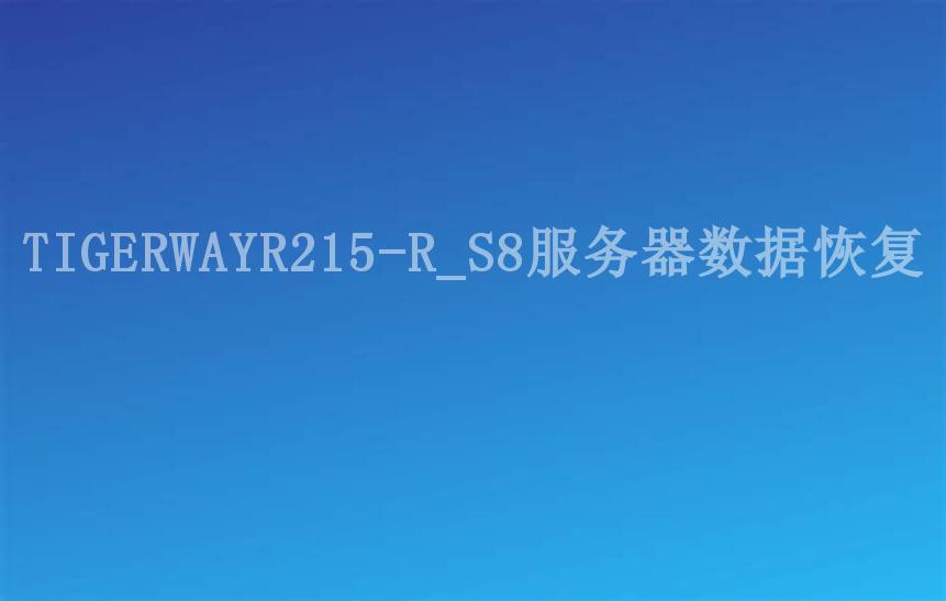 TIGERWAYR215-R_S8服务器数据恢复1