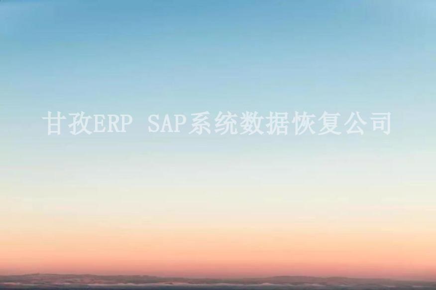 甘孜ERP SAP系统数据恢复公司1