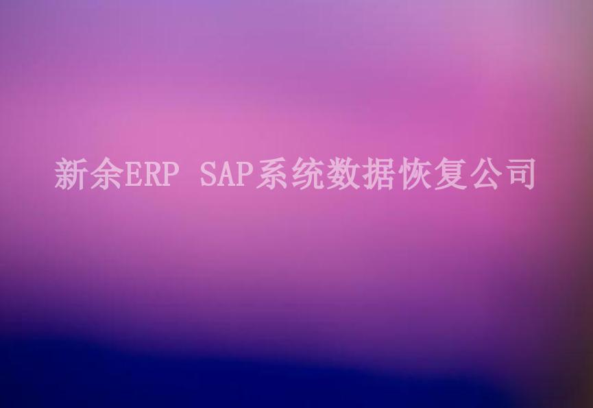 新余ERP SAP系统数据恢复公司2