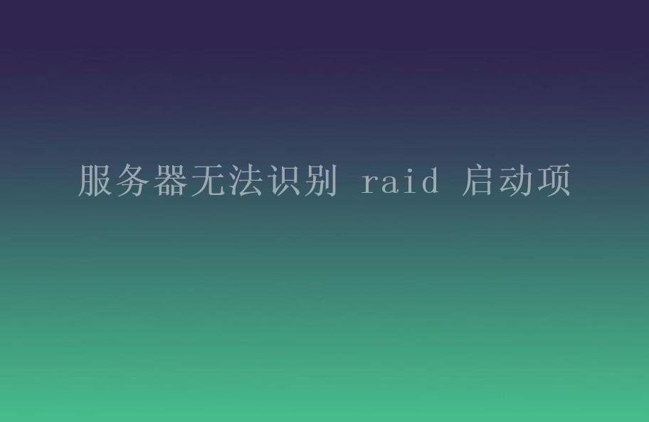 服务器无法识别 raid 启动项1