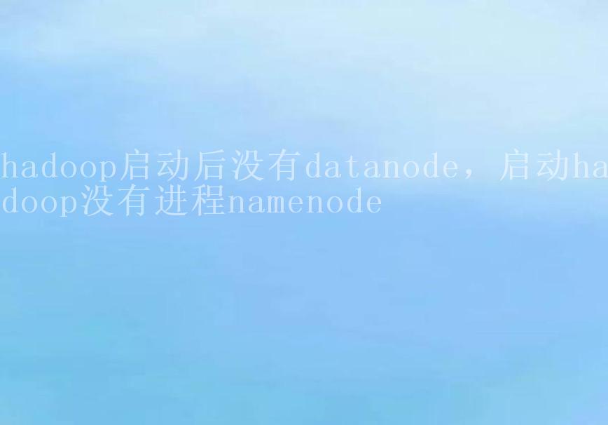 hadoop启动后没有datanode，启动hadoop没有进程namenode2