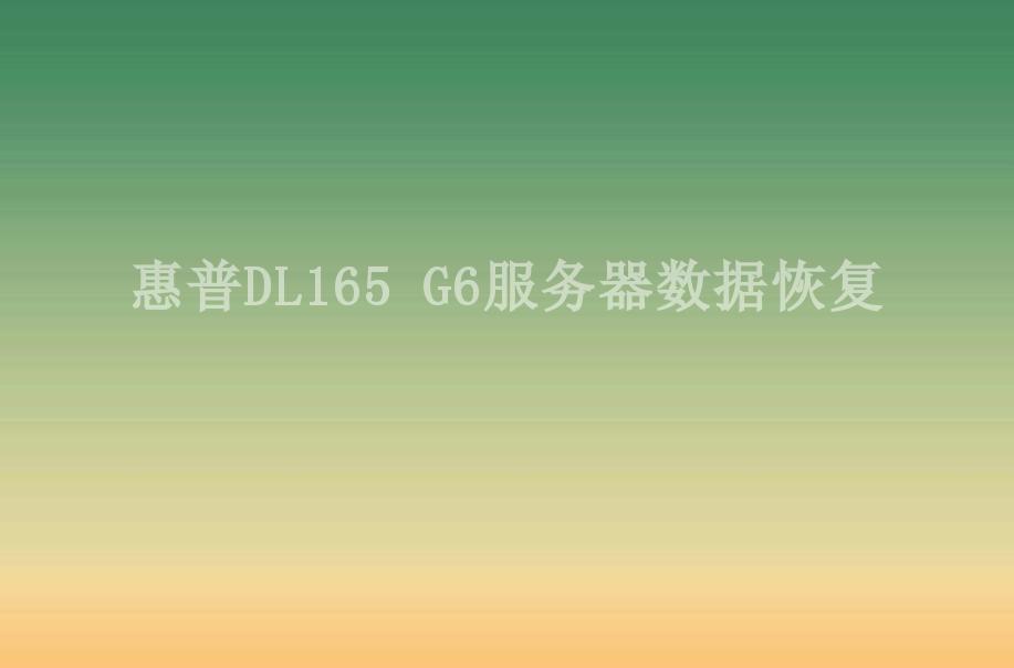 惠普DL165 G6服务器数据恢复2