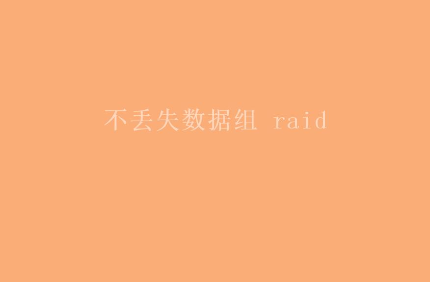 不丢失数据组 raid2