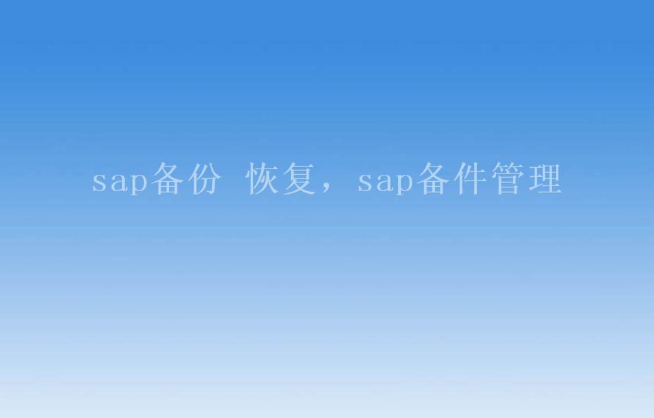 sap备份 恢复，sap备件管理1