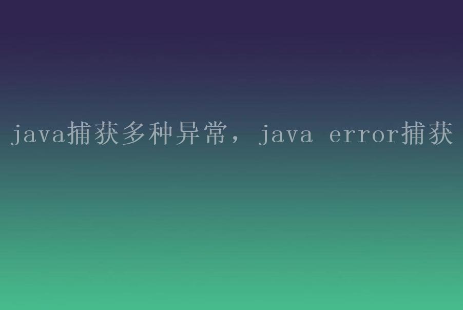 java捕获多种异常，java error捕获1