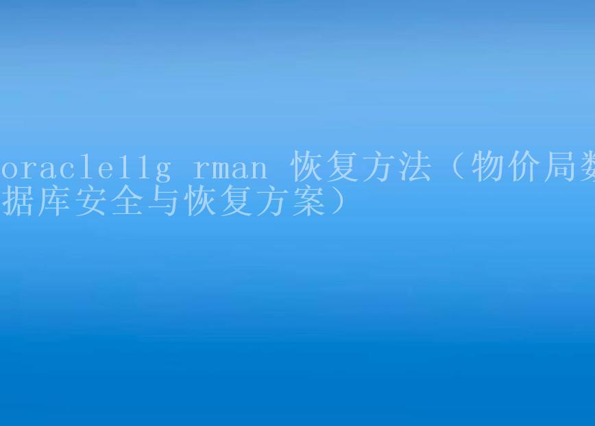 oracle11g rman 恢复方法（物价局数据库安全与恢复方案）2