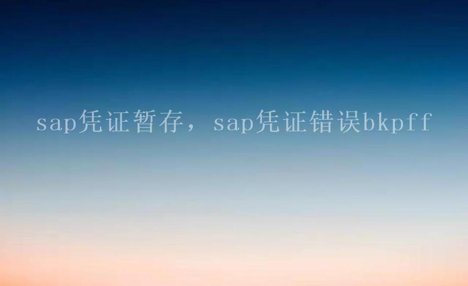 sap凭证暂存，sap凭证错误bkpff2