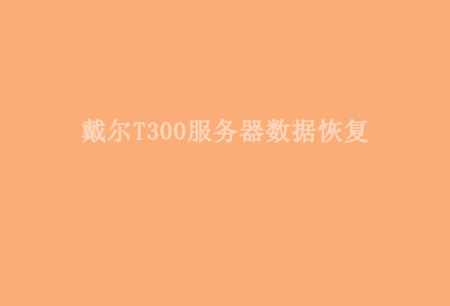 戴尔T300服务器数据恢复1