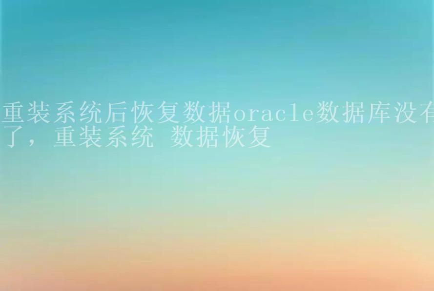 重装系统后恢复数据oracle数据库没有了，重装系统 数据恢复2