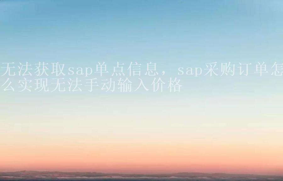 无法获取sap单点信息，sap采购订单怎么实现无法手动输入价格1