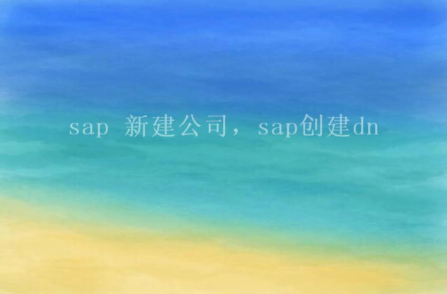 sap 新建公司，sap创建dn2