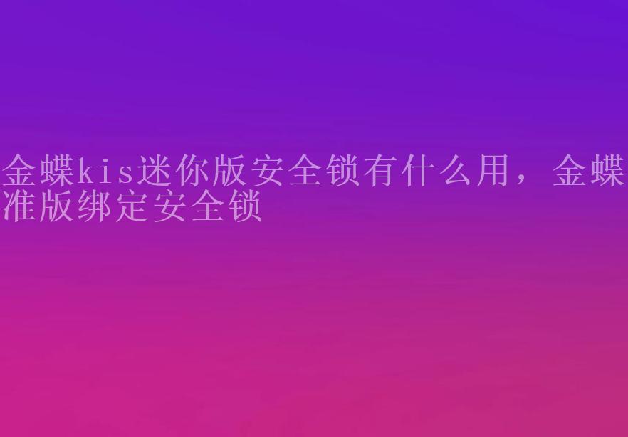 金蝶kis迷你版安全锁有什么用，金蝶标准版绑定安全锁1