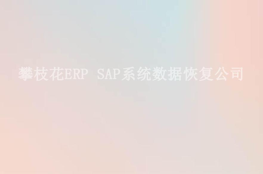 攀枝花ERP SAP系统数据恢复公司1