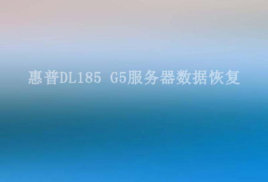 惠普DL185 G5服务器数据恢复1