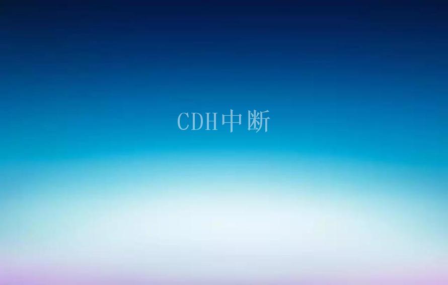 CDH中断2