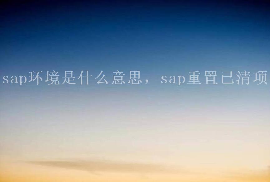 sap环境是什么意思，sap重置已清项2