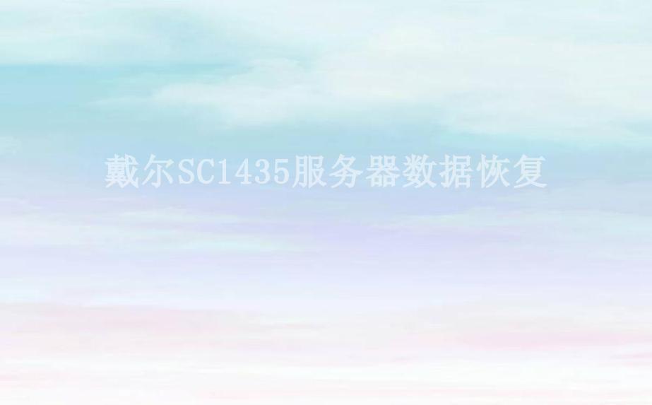 戴尔SC1435服务器数据恢复2