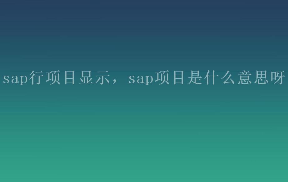 sap行项目显示，sap项目是什么意思呀1