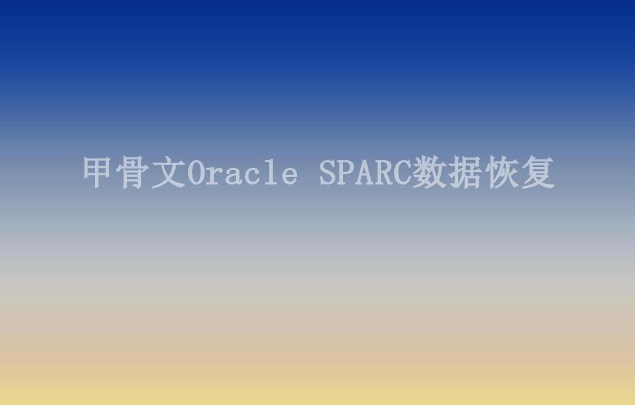 甲骨文Oracle SPARC数据恢复1