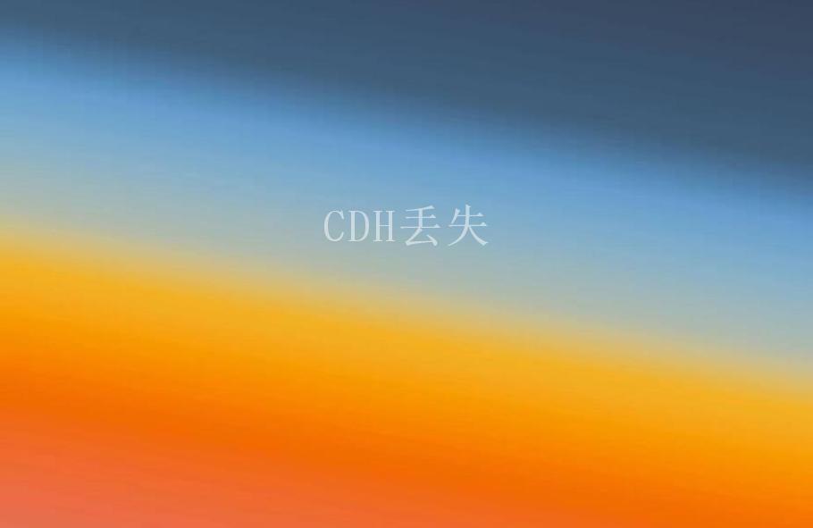 CDH丢失2