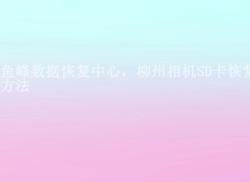 鱼峰数据恢复中心，柳州相机SD卡恢复方法1