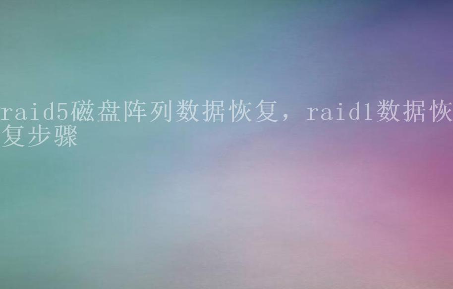 raid5磁盘阵列数据恢复，raid1数据恢复步骤2