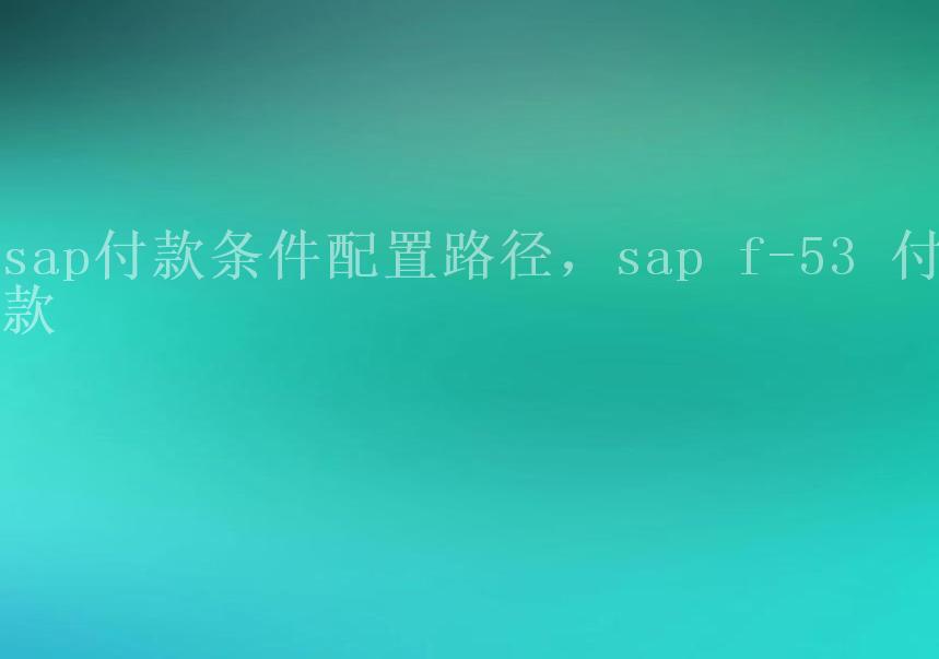 sap付款条件配置路径，sap f-53 付款2