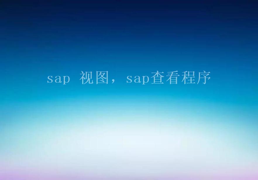 sap 视图，sap查看程序2