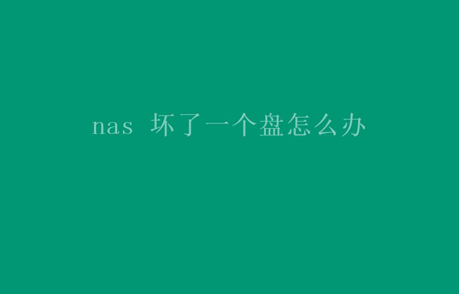 nas 坏了一个盘怎么办2