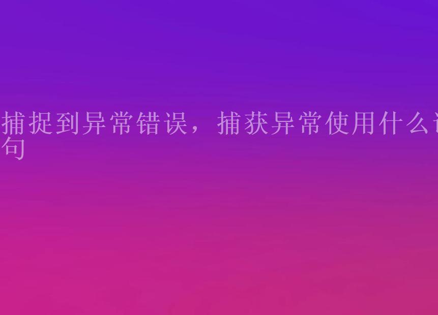 捕捉到异常错误，捕获异常使用什么语句2