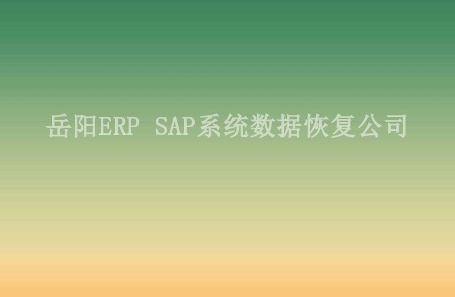 岳阳ERP SAP系统数据恢复公司2