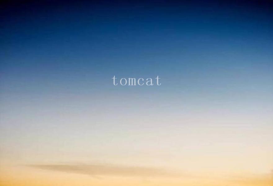 tomcat1