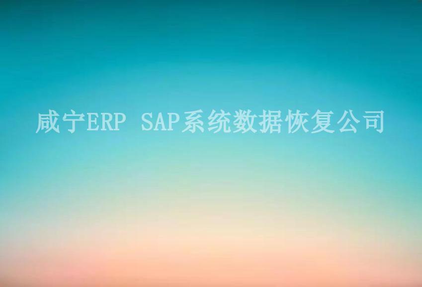 咸宁ERP SAP系统数据恢复公司1