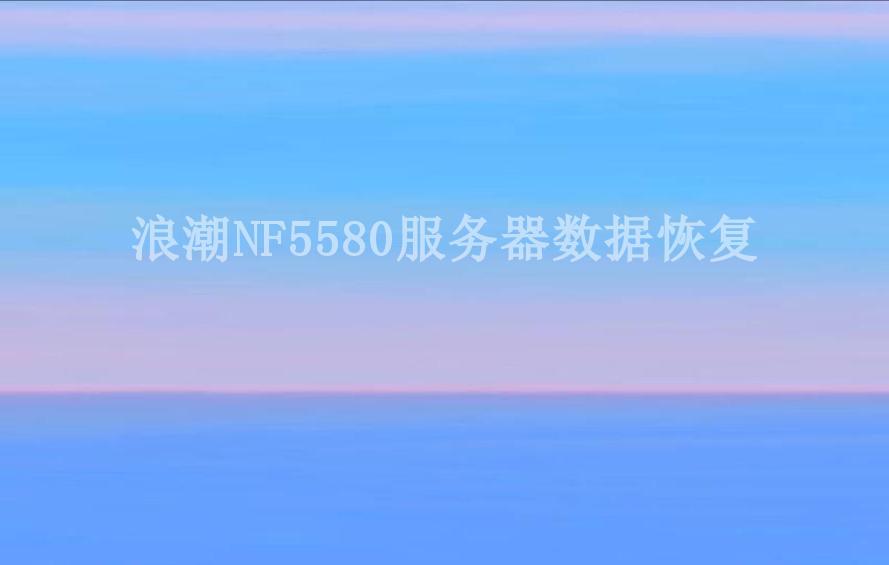 浪潮NF5580服务器数据恢复2