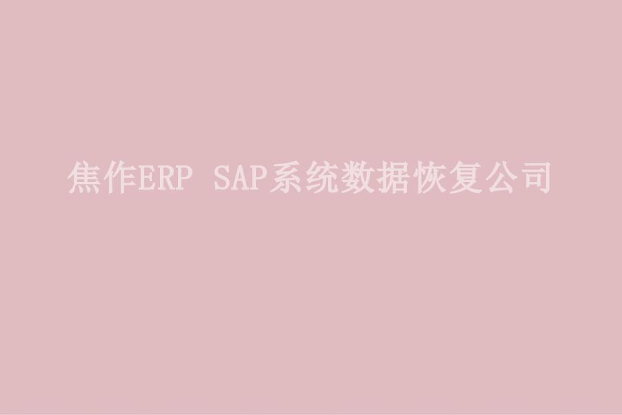 焦作ERP SAP系统数据恢复公司2